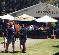 2016 Inglis Melbourne Premier Yearling Sale, Melbourne
